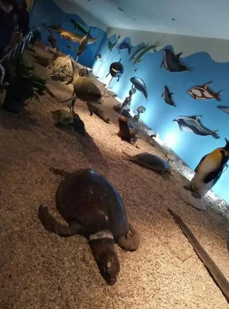 曲江海洋极地公园