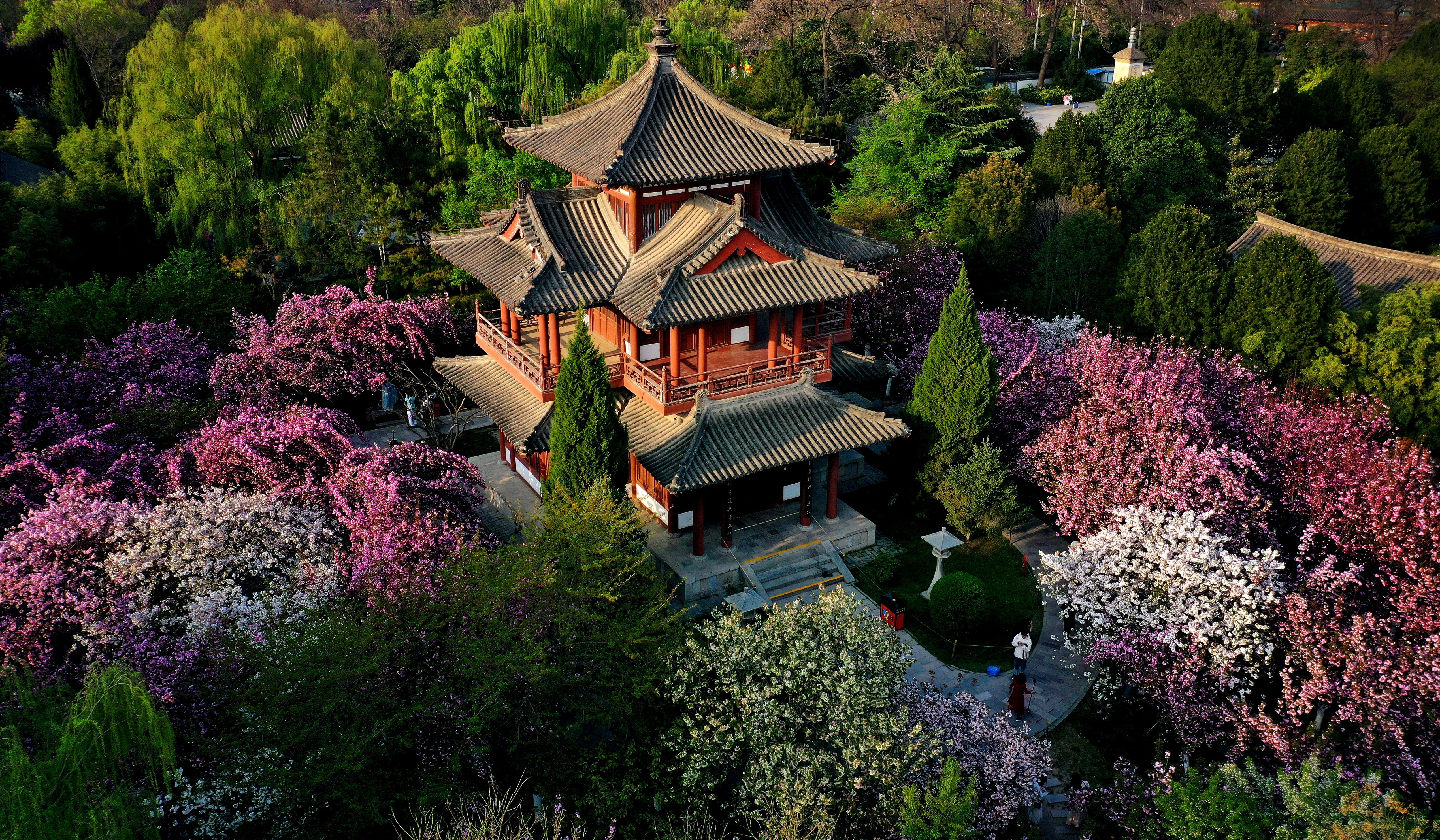 青龙寺遗址